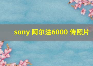 sony 阿尔法6000 传照片